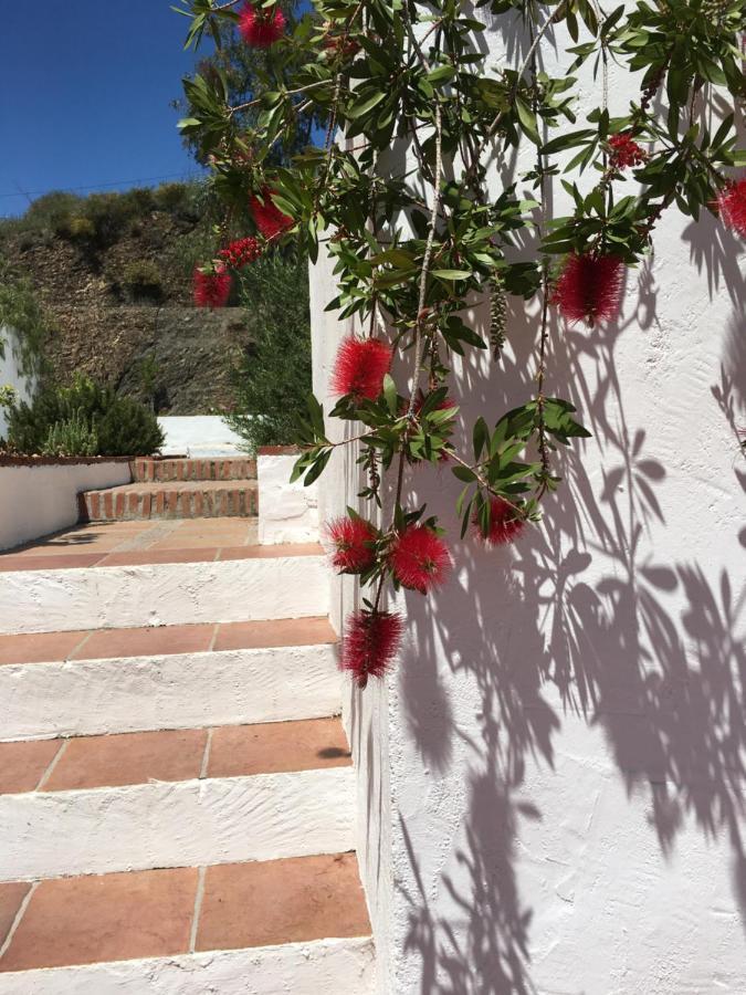 Apartments Cortijo La Zapatera Canillas de Aceituno ภายนอก รูปภาพ