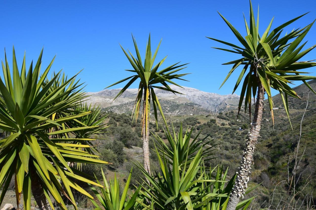 B&B And Apartments Cortijo La Zapatera Canillas de Aceituno ภายนอก รูปภาพ