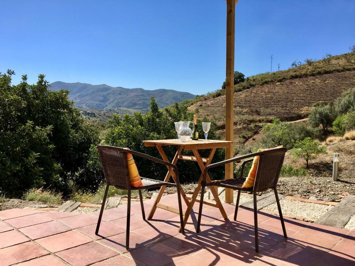 B&B And Apartments Cortijo La Zapatera Canillas de Aceituno ภายนอก รูปภาพ