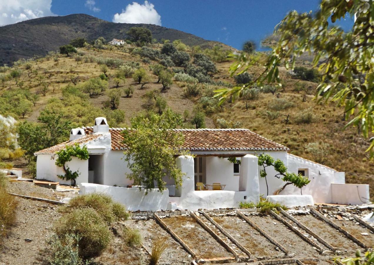 B&B And Apartments Cortijo La Zapatera Canillas de Aceituno ภายนอก รูปภาพ